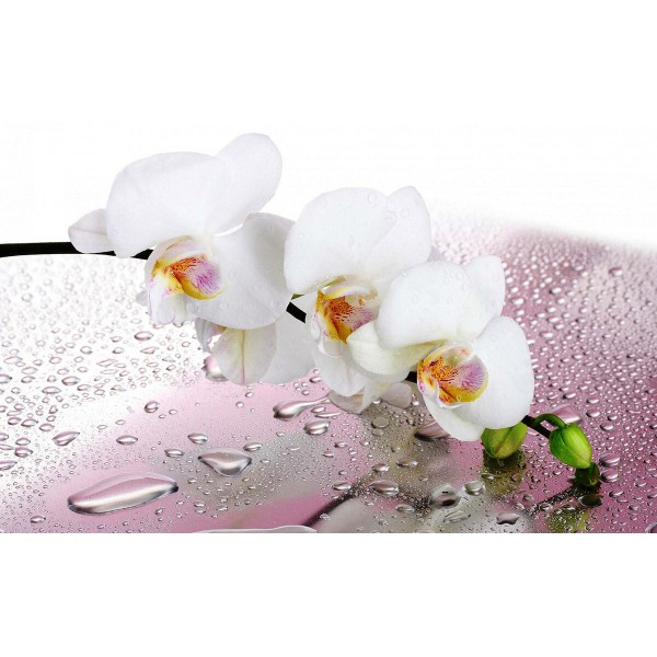 Столешница к с/о (Агат,Лотос) венге/фотопечать орхидеи
